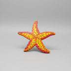 Star of the Seas